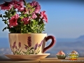 bed-and-breakfast-bynos-02