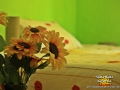 bed-and-breakfast-bynos-05